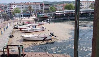 Karamürsel sahili müsilajla kaplandı