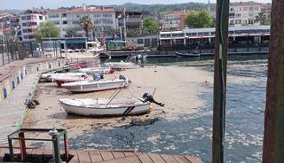 Karamürsel sahili müsilajla kaplandı