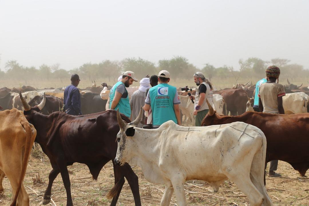 Cansuyu, 24 bölgede kurban kesimi yapacak 3