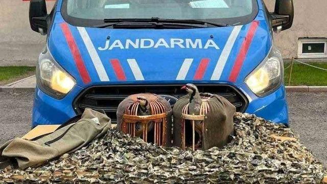 Jandarmadan yasa dışı keklik avcılarına suçüstü