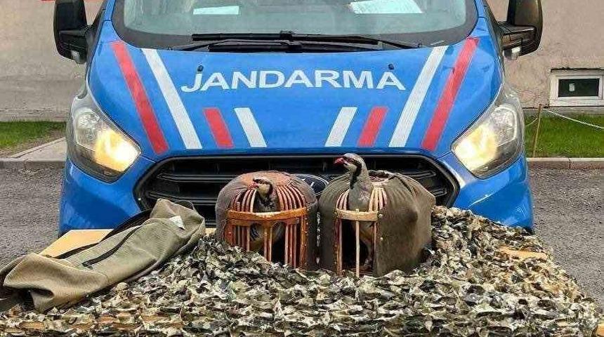 Jandarmadan yasa dışı keklik avcılarına suçüstü