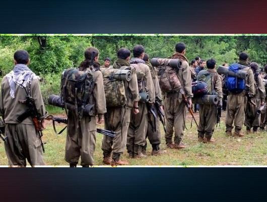PKK'nın teslim edeceği silahlar ne olacak? Tek tek anlattı