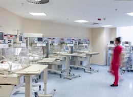 Doğurganlık hızının en yüksek olduğu il belli oldu! 