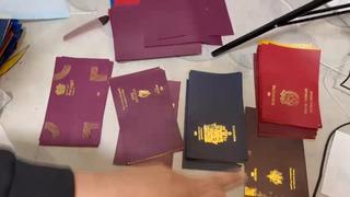 Merdiven altı vize, pasaport ve oturum izni... İstanbul'un göbeğinde suç makinesi çıktılar!