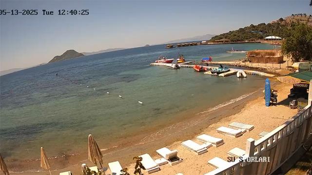 Bodrum'da can pazarı! Turistlerin deniz yatağı eğlencesi acı bitti