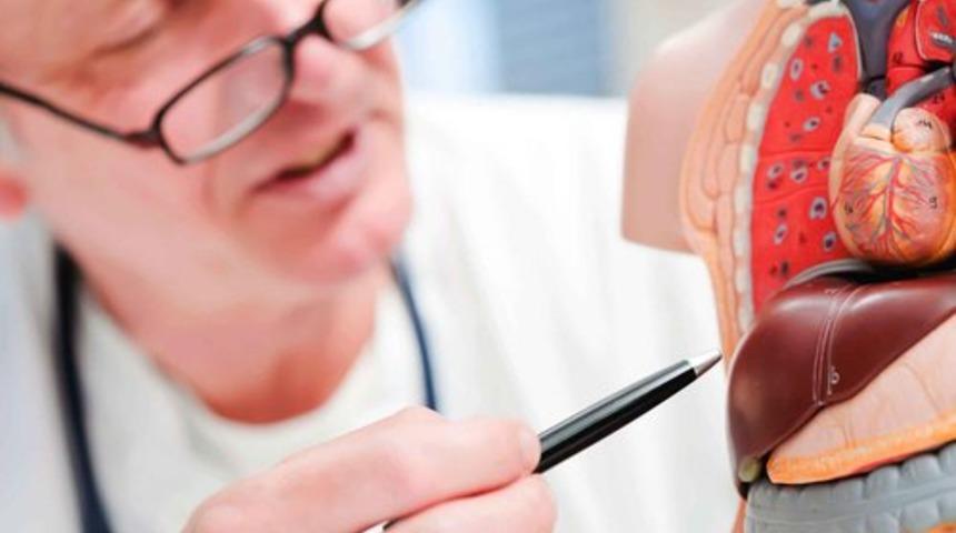 Karaciğer neden yağlanır?