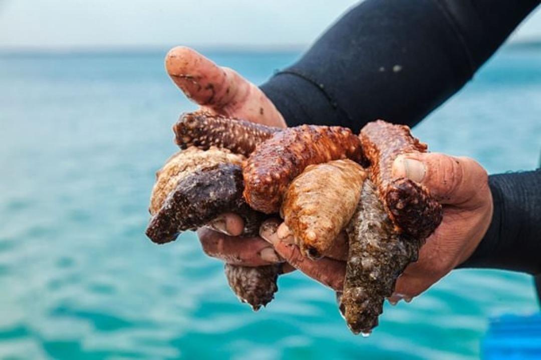 &Ccedil;inliler yemeye bayılıyor: İktidarsızlığı bir numaralı ilacı