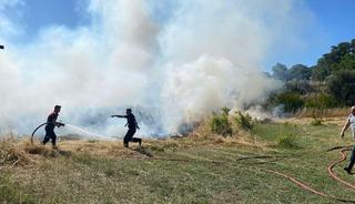Bodrum'da ot yangınında 5 dönüm alan zarar gördü
