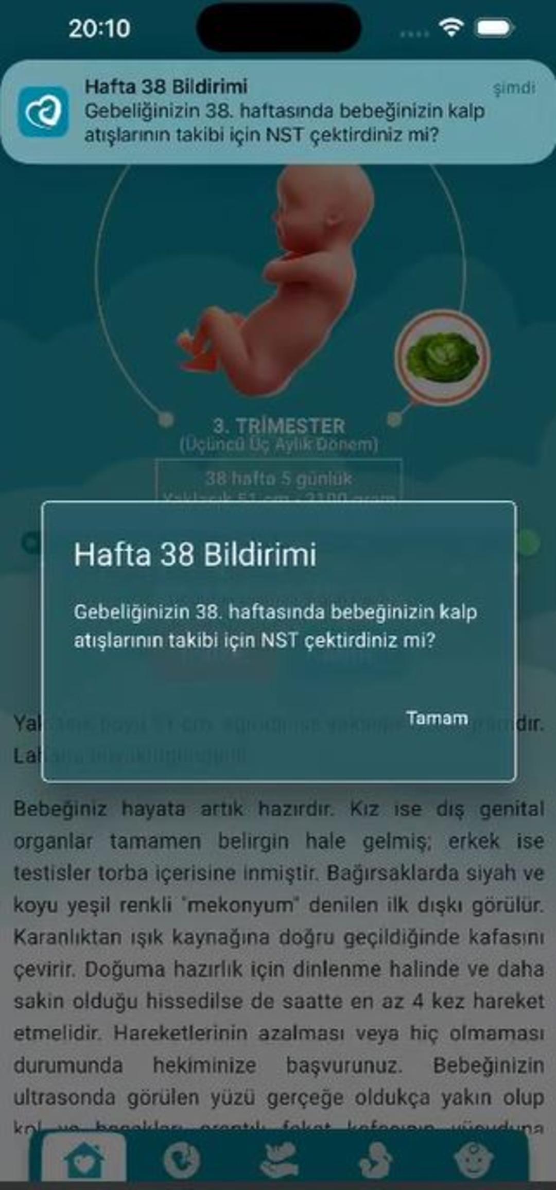 ANNELIK-YOLCULUGU-MOBIL-UYGULAMASI-BIR_711610_210403