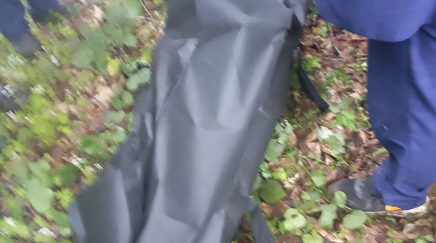 Uzun süredir aranıyordu! Ordu'da 1 aydır kayıp görme engelli yaşlı adam derede ölü bulundu