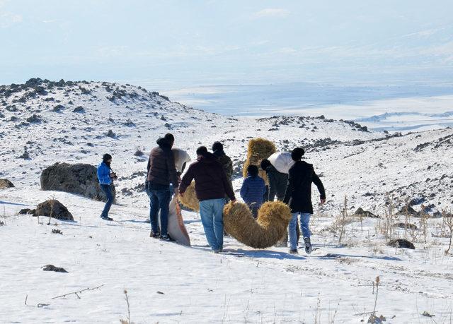 Doğaya 20 bin 700 kilo yem bırakıldı, 80 yaban hayvanı tedavi edildi