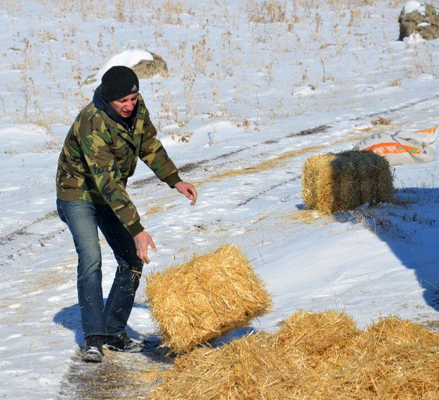 Doğaya 20 bin 700 kilo yem bırakıldı, 80 yaban hayvanı tedavi edildi