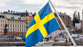 İsveç'te terör örgütü PKK/YPG'nin sözde sorumlusu gözaltına alındı