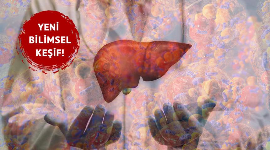 Çin'den bilimsel keşif! Bağırsak mantarı karaciğer hastalıklarına yeni umut olabilir: “Gerçekten mucizevi”