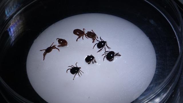 Yer: Sivas! 8 kişiye birden teşhis konuldu,1 kişi hayatını kaybetti... O iller de riskte!