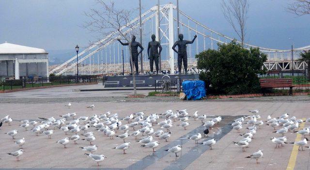 Bandırma’da fırtına deniz ulaşımını vurdu