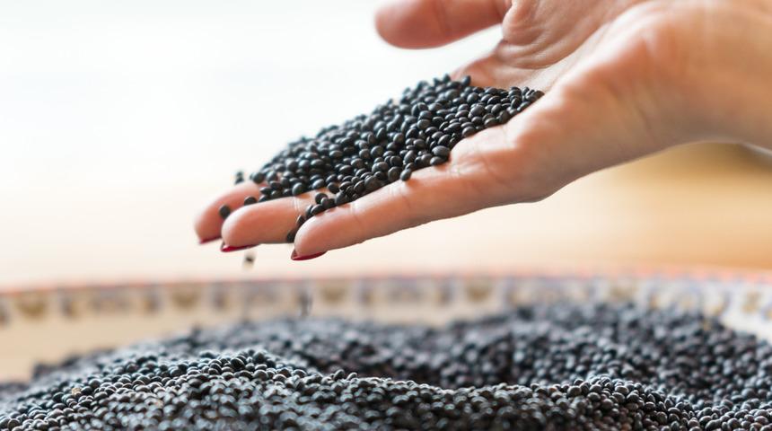 Siyah mercimeğin faydaları nelerdir? Siyah mercimek neye iyi gelir? Siyah mercimek faydaları