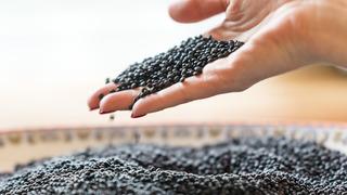 Siyah mercimeğin faydaları nelerdir? Siyah mercimek neye iyi gelir? Siyah mercimek faydaları