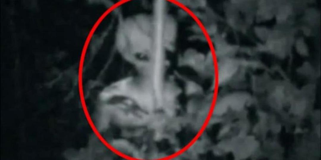 D&uuml;nyaca &uuml;nl&uuml; fizik&ccedil;iden 'uzaylılar' ile ilgili korkutan uyarı