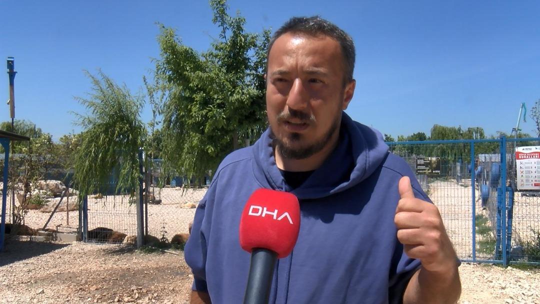 Görüntüler tepki çekmişti! Barınakta hayvanların uyutulduğu iddiaları sonrası barınak müdürü görevden alındı 4