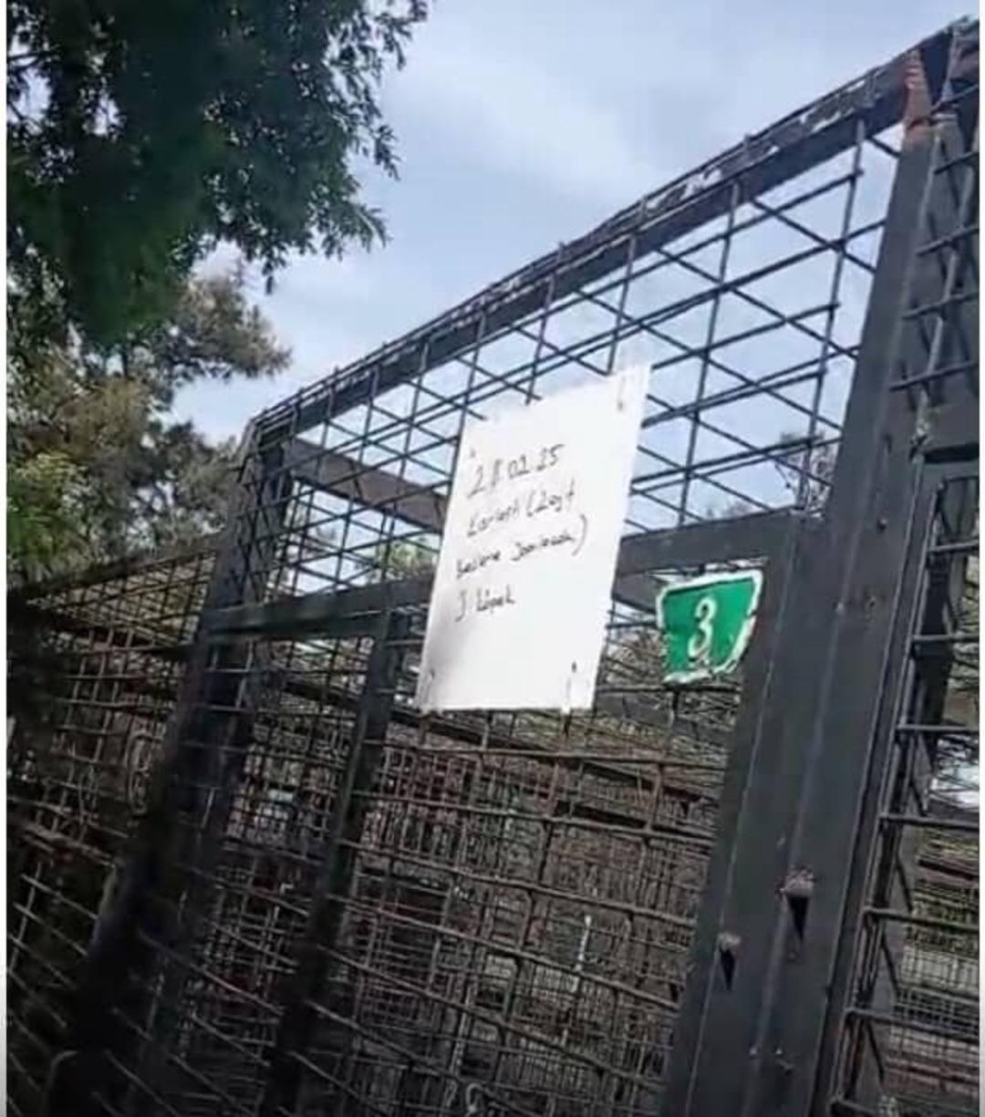 Görüntüler tepki çekmişti! Barınakta hayvanların uyutulduğu iddiaları sonrası barınak müdürü görevden alındı 2