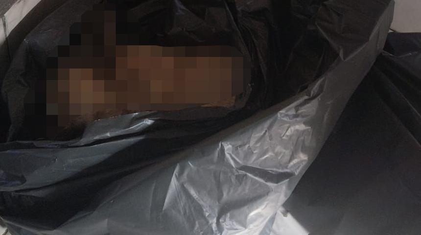 Görüntüler tepki çekmişti! Barınakta hayvanların uyutulduğu iddiaları sonrası barınak müdürü görevden alındı