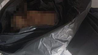 Görüntüler tepki çekmişti! Barınakta hayvanların uyutulduğu iddiaları sonrası barınak müdürü görevden alındı