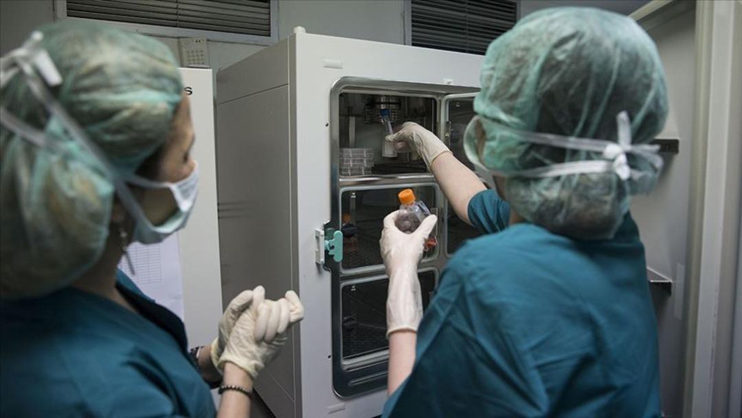 35 yaş üstü kadınlar dikkat! Tüp bebekte başarılı olmak için nelere dikkat edilmelidir? Uzmanlar: "Ön değerlendirme ve genetik tarama şart" 3