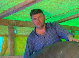 Pazarda yoğunluk başladı! Van'dan gelen de Yozgat'tan da, 130 bin liradan başlıyor... 