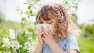 Bahar alerjisi masum değil! Çocuğunuzun öksürüğü alerji habercisi olabilir! Uzmanlar uyarıyor: Çocuğunuzun alerjisini hafife almayın