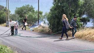 Muğla’nın Bodrum ilçesinde 5 hektar alan zarar gördü