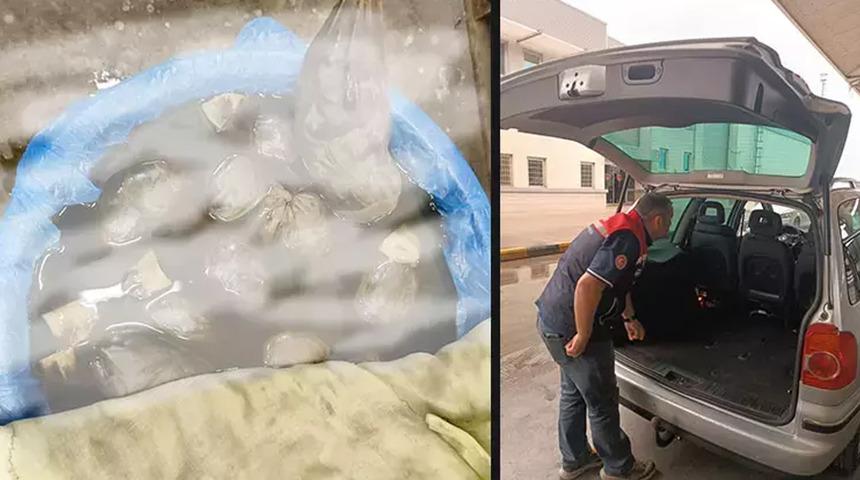 Kapıkule'de kaçak yollarla yurda sokulmak istenen 8 bin adet sülük ele geçirildi