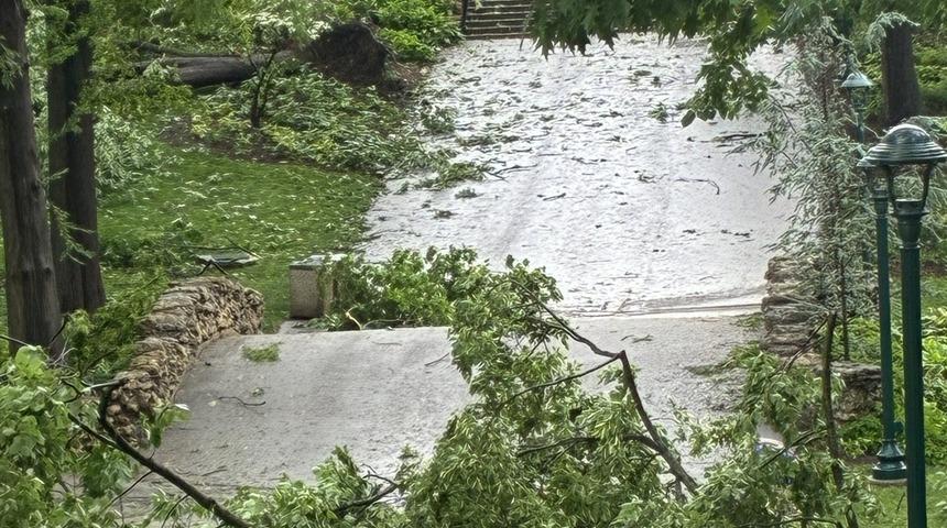 ABD’de fırtına: 5 kişi hayatını kaybetti