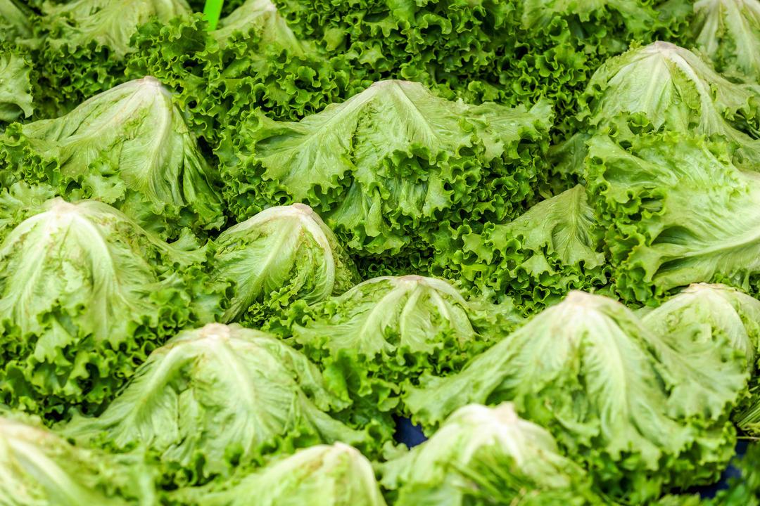 iStock-1291876864