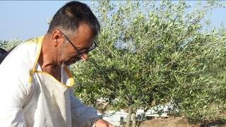 Doktor tavsiyesi ile annesi için başladı! Hayatı tamamen değişti 'Yurt dışına da gönderiyorum' Yılda 2 ton elde ediyor...