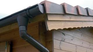 Arjantin'de halk endişeli! Çatı oluklarında görülüyor, uzmanlar 'öldürmeyin' diyor...