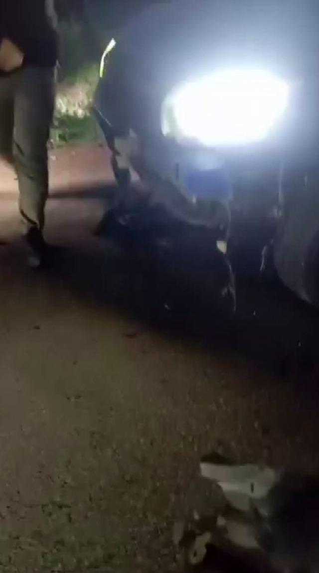 Otomobilin çarptığı 10 küçükbaş hayvan telef oldu 1