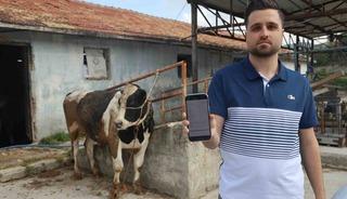 Kurbanlık danaları almak isterken 200 bin TL dolandırıldı