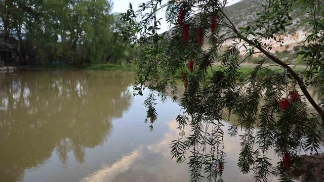 Yağmurlarla birlikte su seviyesi arttı doğa coştu
