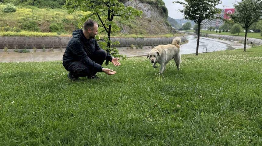 Bankada mahsur kalan köpek alarm sistemini devreye soktu: Çevredekiler hırsız var sandı