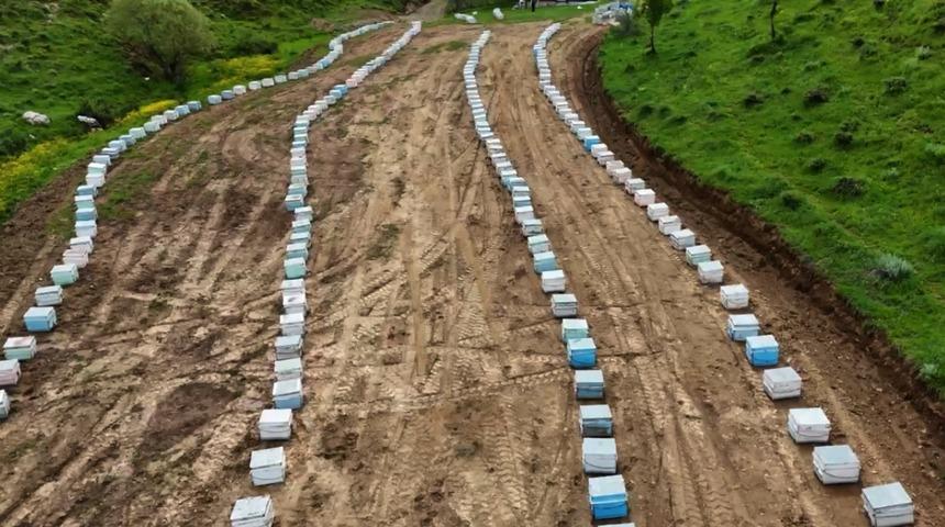Bitlisli arıcılar yeni sezona hazır