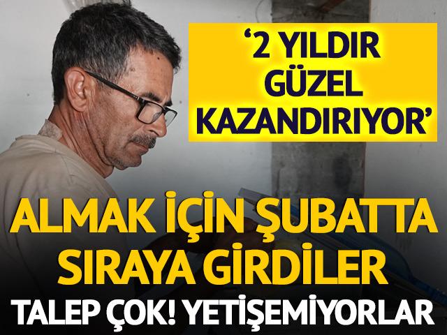 Almak için şubatta sıraya girdiler! '2 yıldır güzel kazandırıyor'