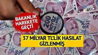 O kazançlar takibe alındı! Sadece 1 kişide 67 milyon TL gelir çıktı 'Vergisini ödemek zorunda'
