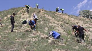 Sivas'ta bu yıl yaşamını yitiren 535 kişi anısına fidan dikildi