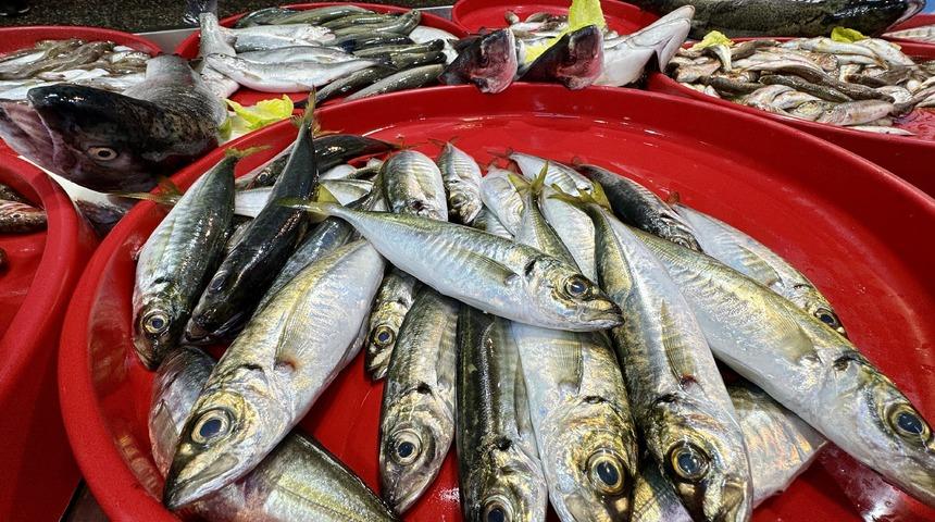 Trabzonlu balıkçıların tezgahlarını mezgit ve istavrit süslüyor