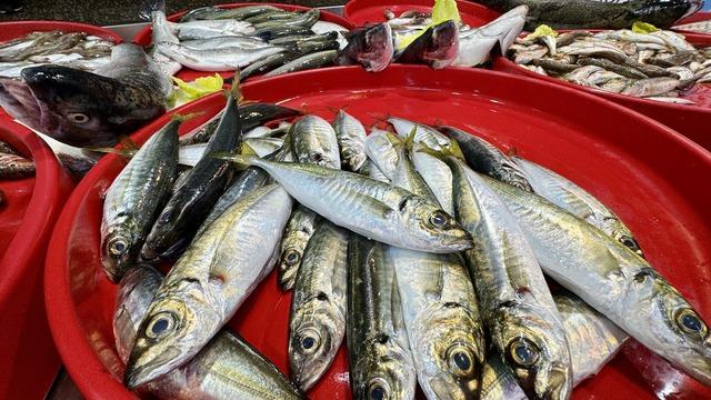 Trabzonlu balıkçıların tezgahlarını mezgit ve istavrit süslüyor