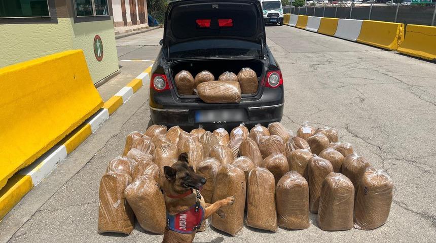 Mersin'de 292 bin 102 makaron ve 250 kilogram bandrolsüz tütün ele geçirildi