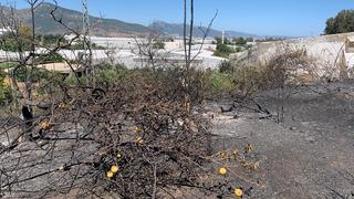 Mersin'de zirai alanda çıkan yangın ormana sıçramadan söndürüldü