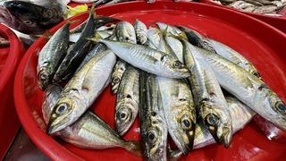 Trabzonlu balıkçıların tezgahlarını mezgit ve istavrit süslüyor