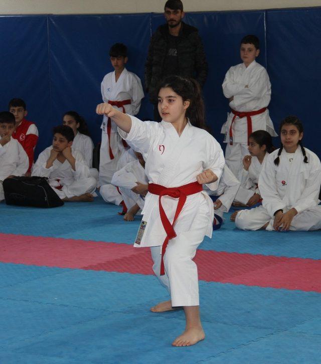 Karate kata-kumite il birinciliği müsabakaları sona erdi